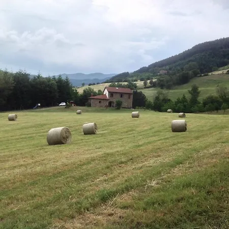 Agriturismo La Casa Bianca Farm stay